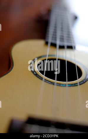 Ukulele Saiteninstrument Stockfoto