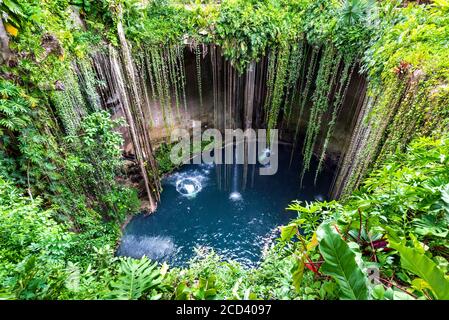 Ik-Kil Cenote, Chichen Itza, Mexiko. Schöne Cenote mit transparentem Wasser und hängenden Wurzeln, Mittelamerika. Stockfoto