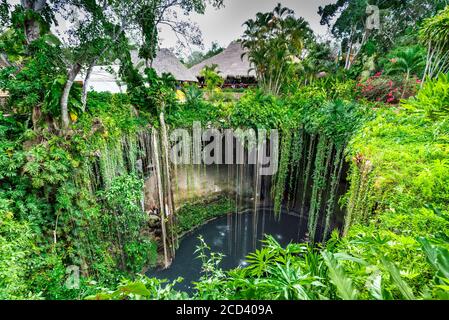 Ik-Kil Cenote, Chichen Itza, Mexiko. Schöne Cenote mit transparentem Wasser und hängenden Wurzeln, Mittelamerika. Stockfoto