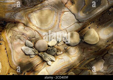 Nahaufnahme von geologischen Schlammsteinformationen am Buckleton Beach, Neuseeland. Stockfoto