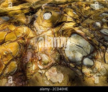 Nahaufnahme von geologischen Schlammsteinformationen am Buckleton Beach, Neuseeland. Stockfoto