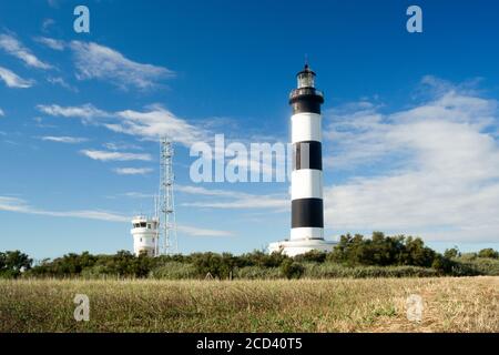 Leuchtturm mit blauem Himmel und trockenem Feld im Sommer in chassiron, Insel Oleron, Frankreich. Stockfoto