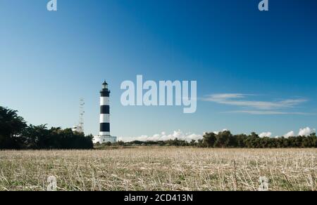 Leuchtturm mit blauem Himmel und trockenem Feld im Sommer in chassiron, Insel Oleron, Frankreich. Stockfoto