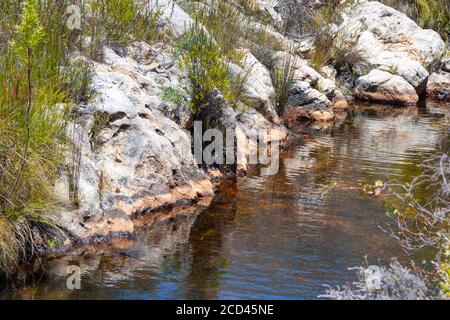 Schöne Landschaft entlang eines kleinen Flusses in den Bergen von Ceres, Westkap, Südafrika Stockfoto