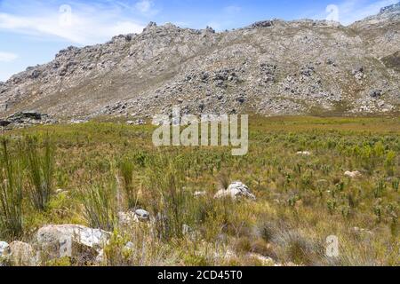 Schöne Landschaft in den Bergen von Ceres, Westkap, Südafrika Stockfoto