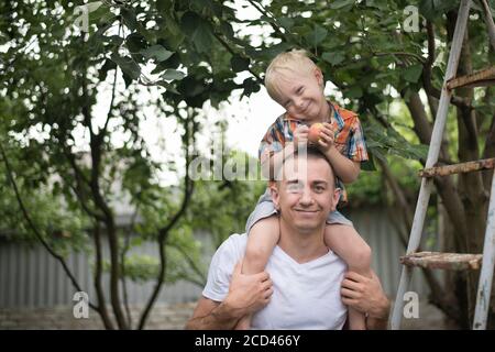 Kleiner blonder Junge mit einem Apfel in den Händen auf den Schultern seines Vaters. Garten im Hintergrund Stockfoto