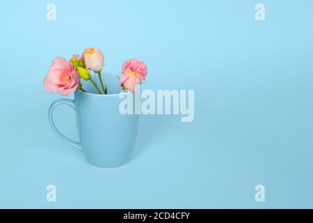 Kreatives Konzept aus Kaffee oder Teetasse mit zarten rosa Eustoma Blumen auf hellblauem Hintergrund. Speicherplatz kopieren. Rosa Eustoma blüht in der blauen Tasse Stockfoto