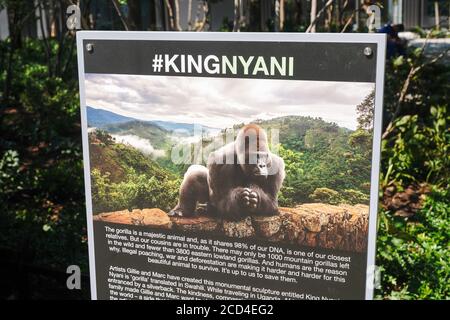 New York, Usa. August 2020. Zeichen der massiven Gorilla-Skulptur von Gillie und Marc Schattner im Bella Abzug Park von Hudson Yards. Das neue Werk mit dem Titel King Nyani (Swahili-Wort für Gorilla) passt eindrucksvoll zwei bis drei Menschen in seine Hand. Kredit: SOPA Images Limited/Alamy Live Nachrichten Stockfoto