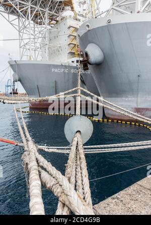 Rattenwachen auf Schiff Festmacherseil, um Ratten bekommen zu verhindern An Bord Stockfoto