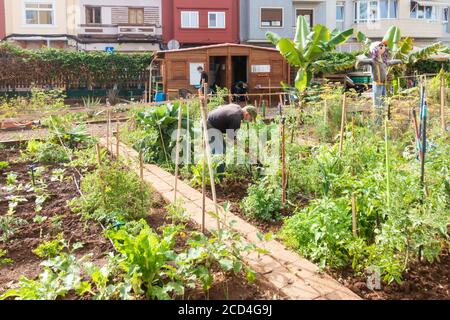 Mann mit Gesichtsmaske bei der Arbeit an städtischen Zuteilung während der Covid-Pandemie in Las Palmas auf Gran Canaria, Kanarische Inseln, Spanien. Stockfoto