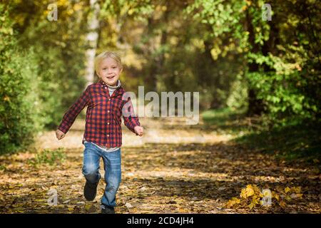 Der blonde Junge im karierten Hemd läuft die Herbstallee hinunter. Stockfoto