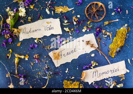 Herbst vibes Reisen Erinnerungen, getrocknete Pflanzen und Blumen, kopieren Paste Raum, Brief und Worte auf dem alten Papier, Herbarium Thema. Stockfoto