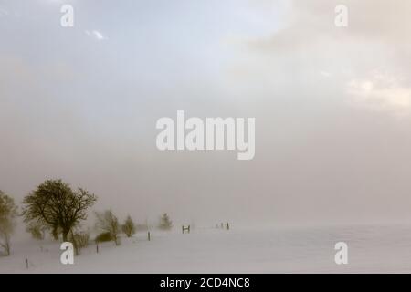 Mohawk Valley, New York State: Schneebedeckte Felder an einem sehr kalten und windigen Morgen. Stockfoto