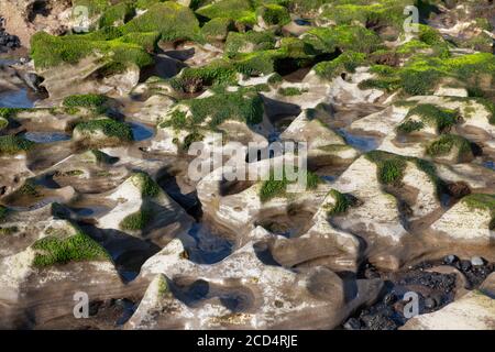 Grüne Algen und Algen wachsen auf weißen Felsen mit blauem Himmel in Wasserbecken reflektiert. Cluster von ungewöhnlichen fremdartigen erodierten Felsen in der Nähe des Atlantiks. Stockfoto