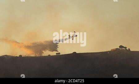 Waldbrandbekämpfung. Canadair bei der Arbeit. Kalabrien, Italien. 2020. Stockfoto