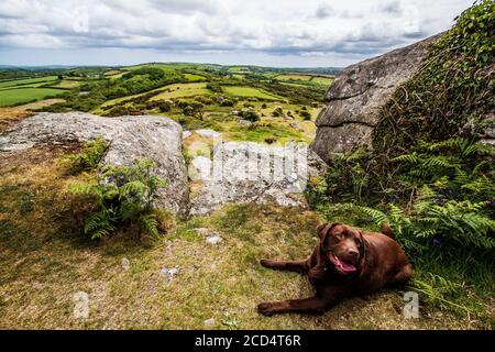 Felsformationen Auf Cornish Moor Stockfoto