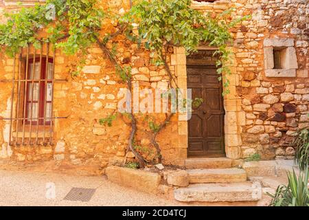 Eine Weinrebe, die am Rande eines Hauses im malerischen Dorf Roussillon, Luberon, Frankreich, wächst Stockfoto