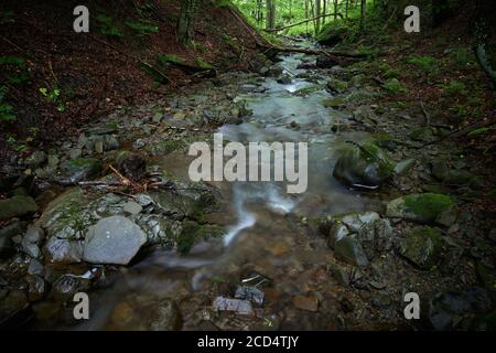 Nachgeschaltet. Kristallklares Wasser eines Bergbaches im Karpatenwald. Unbenannter Nebenfluss des Flusses Shypit, am Fuße des Mt. Bilyi Kamin (1062) Stockfoto