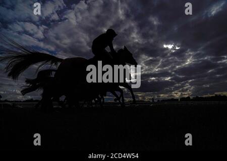 Eine allgemeine Ansicht, wie Läufer und Fahrer verlassen die Stände vor Spiel 4 zu gewinnen bei Betway Handicap t auf Lingfield Park Racecourse. Stockfoto