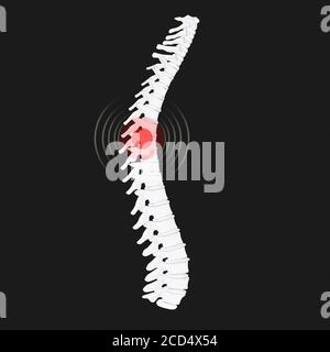 Anatomiedarstellung der isolierten Wirbelsäule 3d-Darstellung Stockfoto