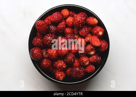 Draufsicht auf frische reife kleine wilde Erdbeeren in einem Schwarze Schale auf weißem Hintergrund Stockfoto