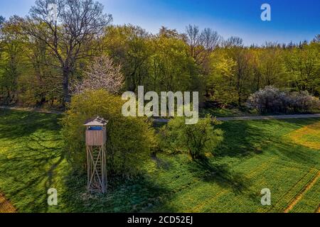 Hoher Sitz für Jäger in der Nähe einer Wiese und Wald im Sommer, Deutschland. Stockfoto