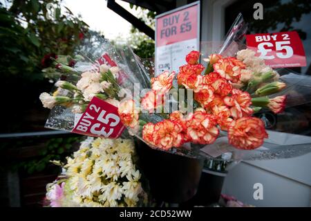 Frische Schnittblumen zum Verkauf Stockfoto