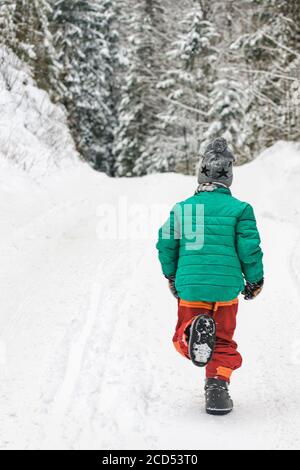 Boy in einer grünen Jacke und roten Hose läuft entlang einer verschneiten Straße in einem Nadelwald. Wintertag. Rückansicht Stockfoto