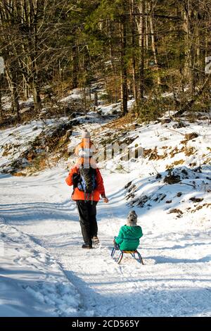 Vater mit seinem Sohn auf den Schultern trägt den zweiten Sohn auf einem Schlitten auf der Straße in einem verschneiten Wald. Wintertag. Stockfoto