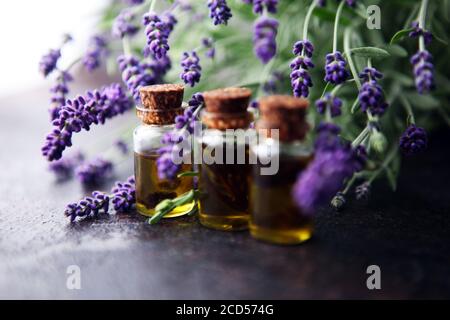 Lavendelöl in einer Glasflasche auf einem Hintergrund von Frische Blumen auf dem Tisch Stockfoto