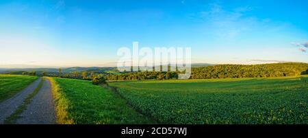 Landschaft mit Sojabohnenfeld, Globe Hill, Pine Plains, New York State, USA Stockfoto