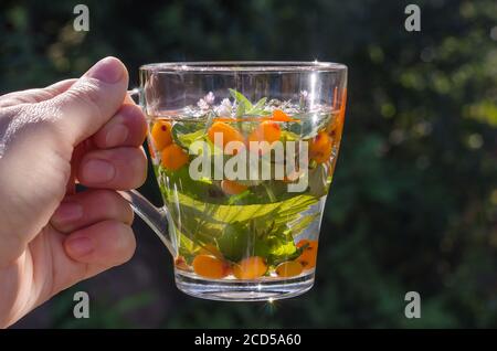 Frau hält eine Tasse Kräutertee mit Zitronenmelisse und Sanddorn auf dem Hintergrund der Natur. Gesunde Lebensweise Stockfoto