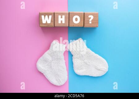 WER Text auf Holzwürfel und ein paar niedliche Stricksocken auf rosa-blauem Hintergrund. Geschlecht des Babys. Junge oder Mädchen. Warten auf foa ein untergeordnetes Element. Konzept für Neugeborene. Stockfoto