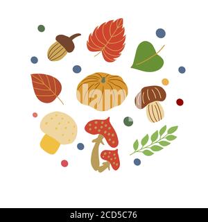 Set von Herbst bunte Blätter, Pilze, Eicheln. Vektorgrafiken auf weißem Hintergrund für die Gestaltung von Karten, Drucke auf Kissen, Pakete, Abdeckungen Stock Vektor