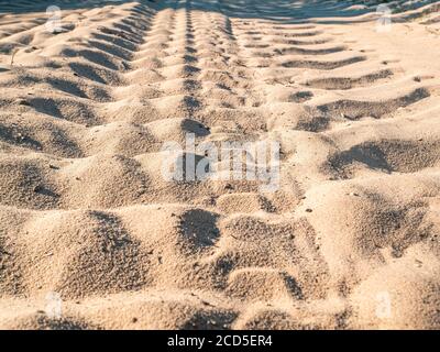Auto Lauffläche Spur auf dem Sand. Stockfoto