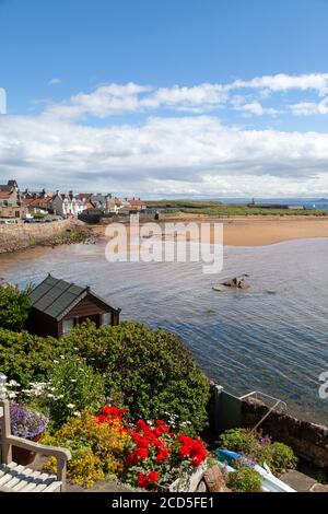 Blick über die Gärten in Elie in Richtung Strand und Ship Inn Pub, Fife Scotland Stockfoto