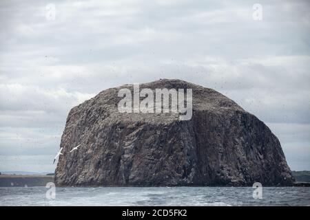 Der Bass Rock in den Firth of Forth East Lothian Schottland Stockfoto