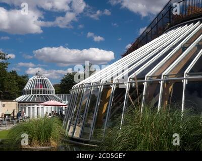 Norwich Castle Mall (jetzt Castle Quarter genannt) Glasdach im Freien, innerhalb der Castle Gardens, Norwich, Norfolk, England, Großbritannien Stockfoto