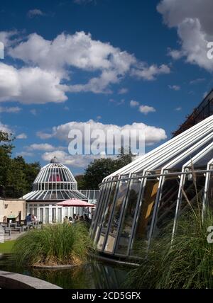 Norwich Castle Mall (jetzt Castle Quarter genannt) Glasdach im Freien, innerhalb der Castle Gardens, Norwich, Norfolk, England, Großbritannien Stockfoto