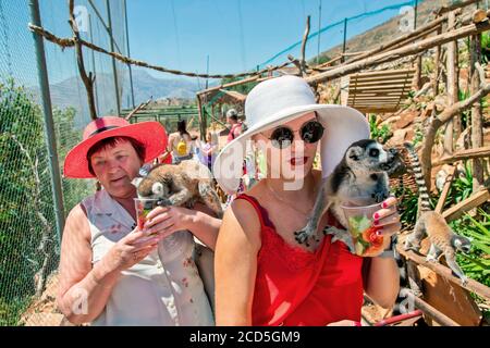 Besucher spielen mit Lemuren im Amazonas Park, Zoo zwischen Neapolis & Kourounes Dorf, Gemeinde Agios Nikolaos, Lassithi, Kreta, Griechenland. Stockfoto