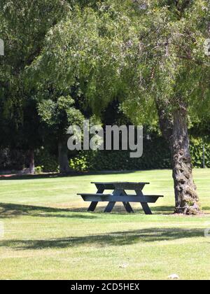 Hölzerner Picknicktisch unter einem Baum in einem Park Stockfoto