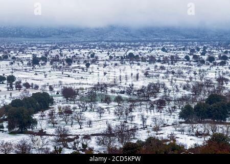 Winterszene auf Lassithi Plateau, Kreta Insel, Griechenland. Stockfoto