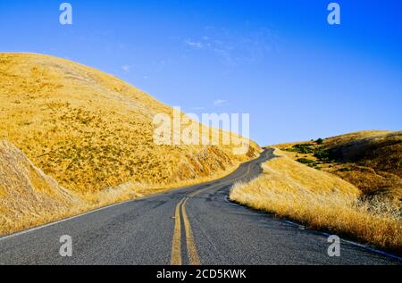 Blick auf die Straße zwischen Hügeln, Marin County, Kalifornien, USA Stockfoto