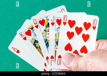 Eine männliche Hand hält einen Royal Flush, ein Straight Flush auf das Ass, die höchste Hand im Poker Stockfoto