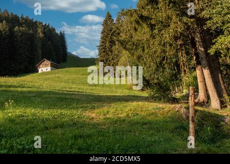 Grünes Schweizer Grasfeld und ein Chalet, Schweiz Stockfoto