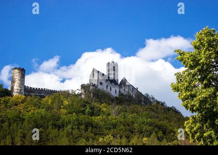 Panoramablick auf Schloss Bezdez mit zwei Türmen in der Tschechischen Republik. Im Vordergrund gibt es Bäume, im Hintergrund ist ein Hügel mit Burg und Stockfoto