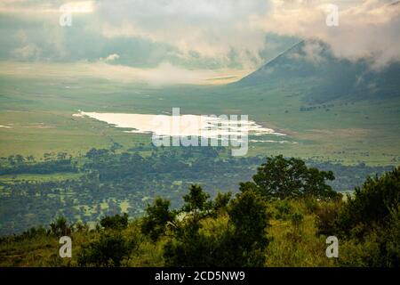 Panoramablick auf Krater und Rand des Ngorongoro Conservation Area, Tansania. Stockfoto