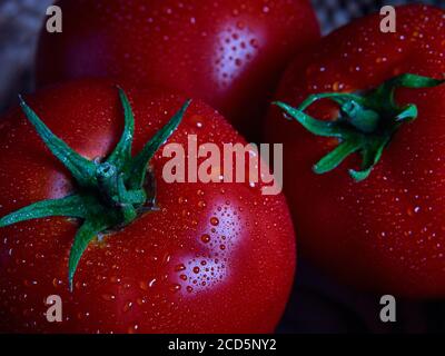 Garten Frische Bio-Tomaten Stockfoto