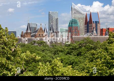 DEN HAAG - Skyline der Stadt mit Bäumen in Der Vordergrund Stockfoto