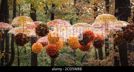 Bunte Regenschirme hängen über der Parkallee. Dekor Herbst Park. Mehrfarbiger Sonnenschirm. Stockfoto